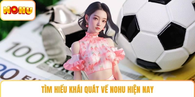 Tìm hiểu khái quát về NOHU hiện nay