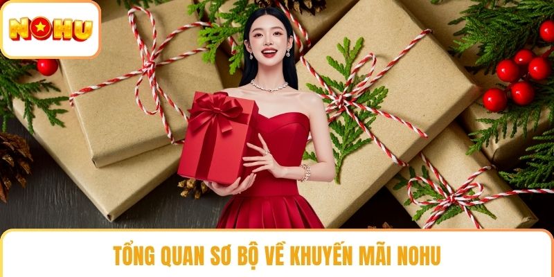 Tổng quan sơ bộ về khuyến mãi NOHU